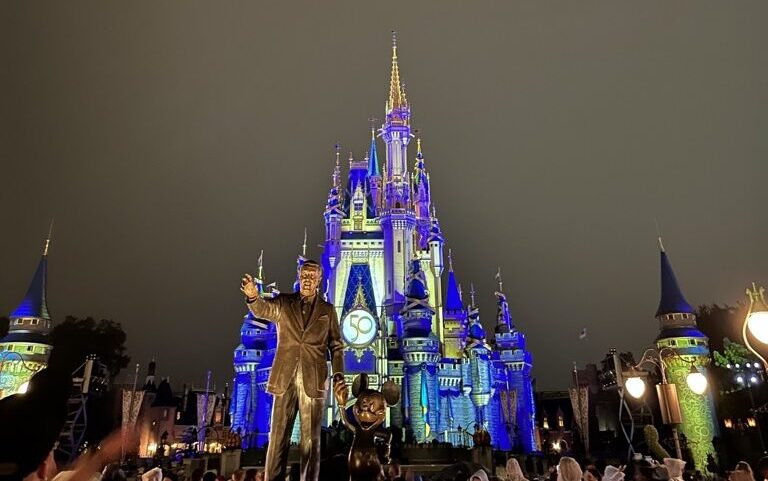 Disney World Castle